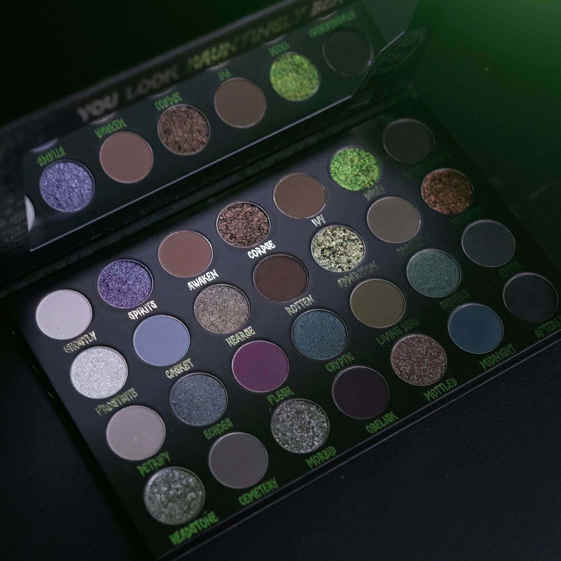 Cryptic Palette - Image 4