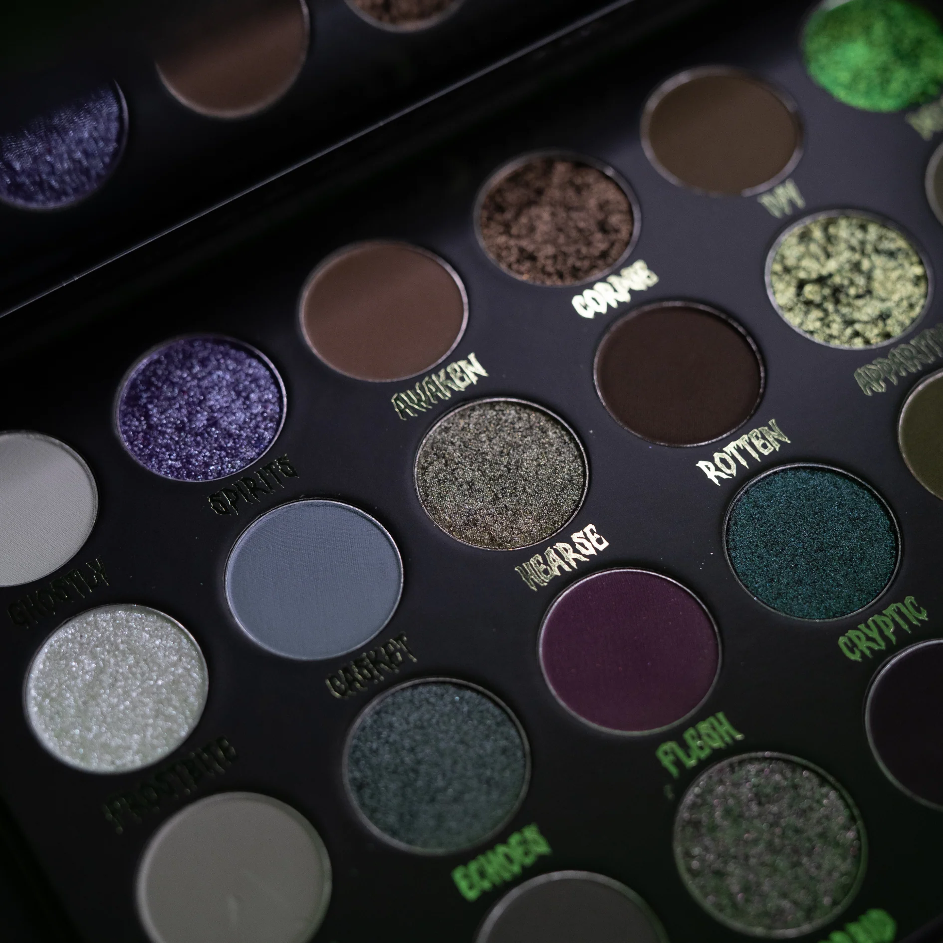 Cryptic Palette - Image 7