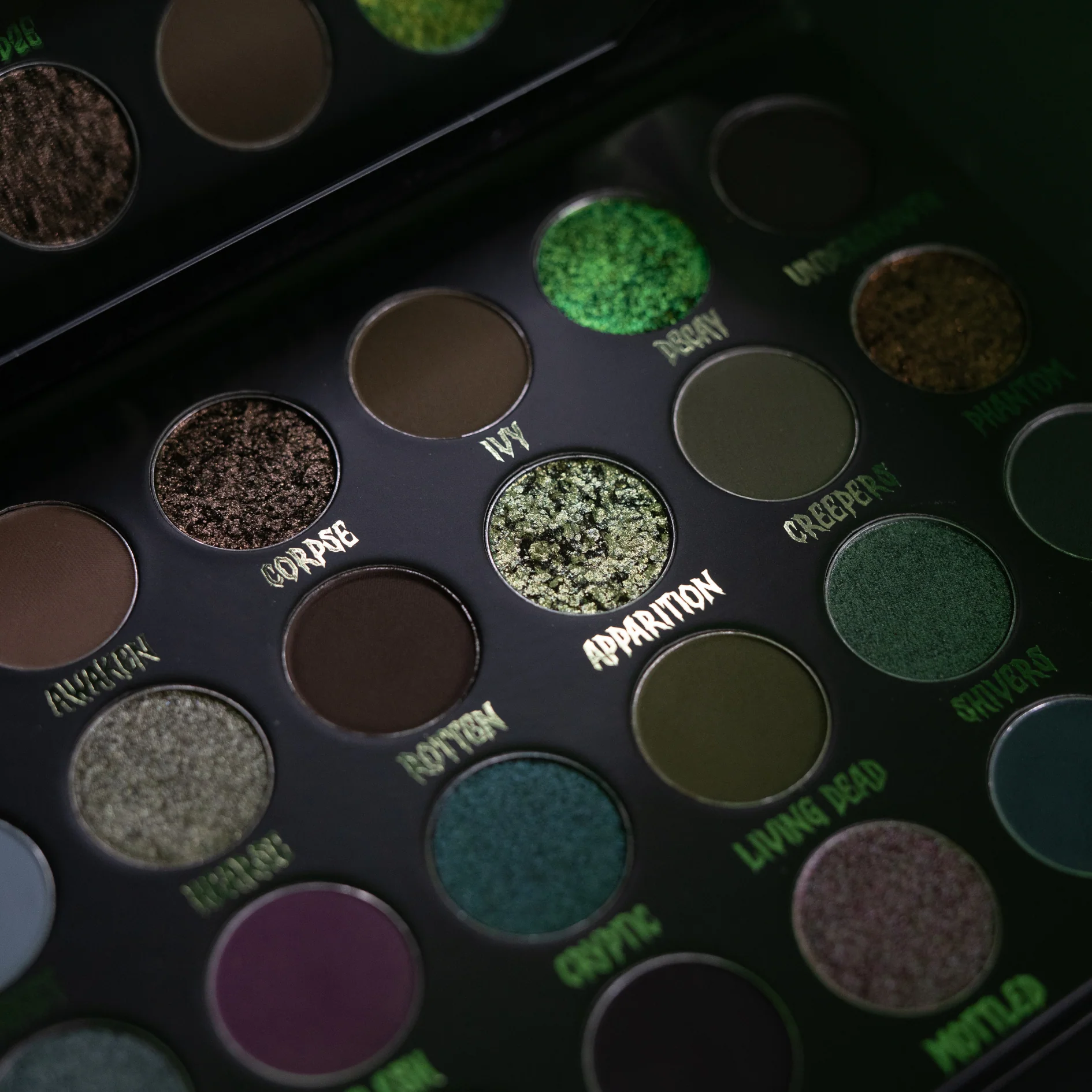 Cryptic Palette - Image 8